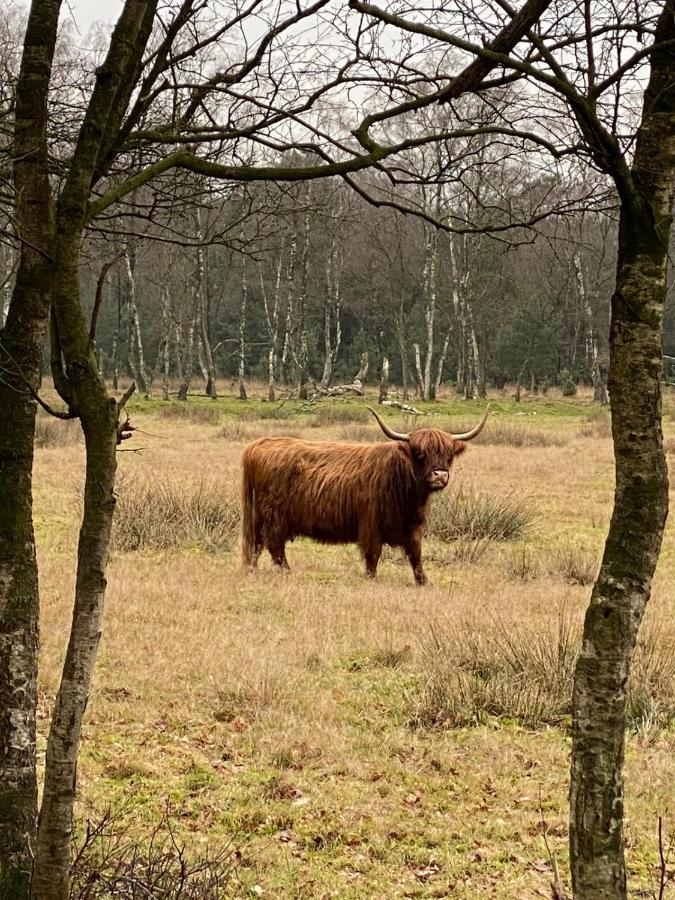 Herberg de Pas Haarle Exterior foto